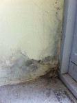 Schimmel an Fensterleibung